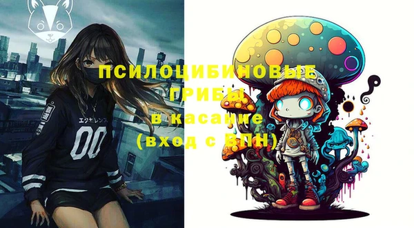 прущие грибы Нефтекумск